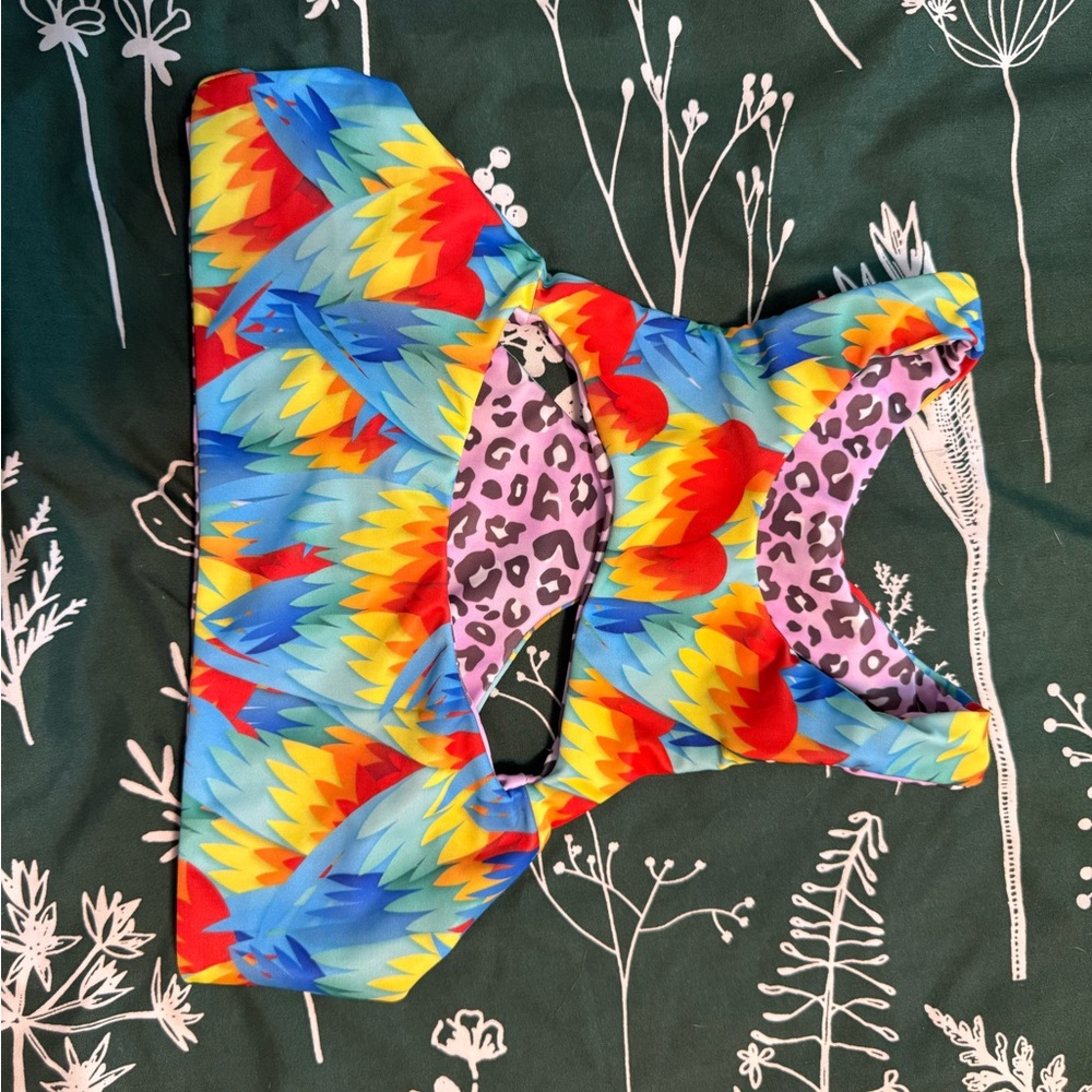 Moana Bikini Blue and Red Vibrant Swimwear